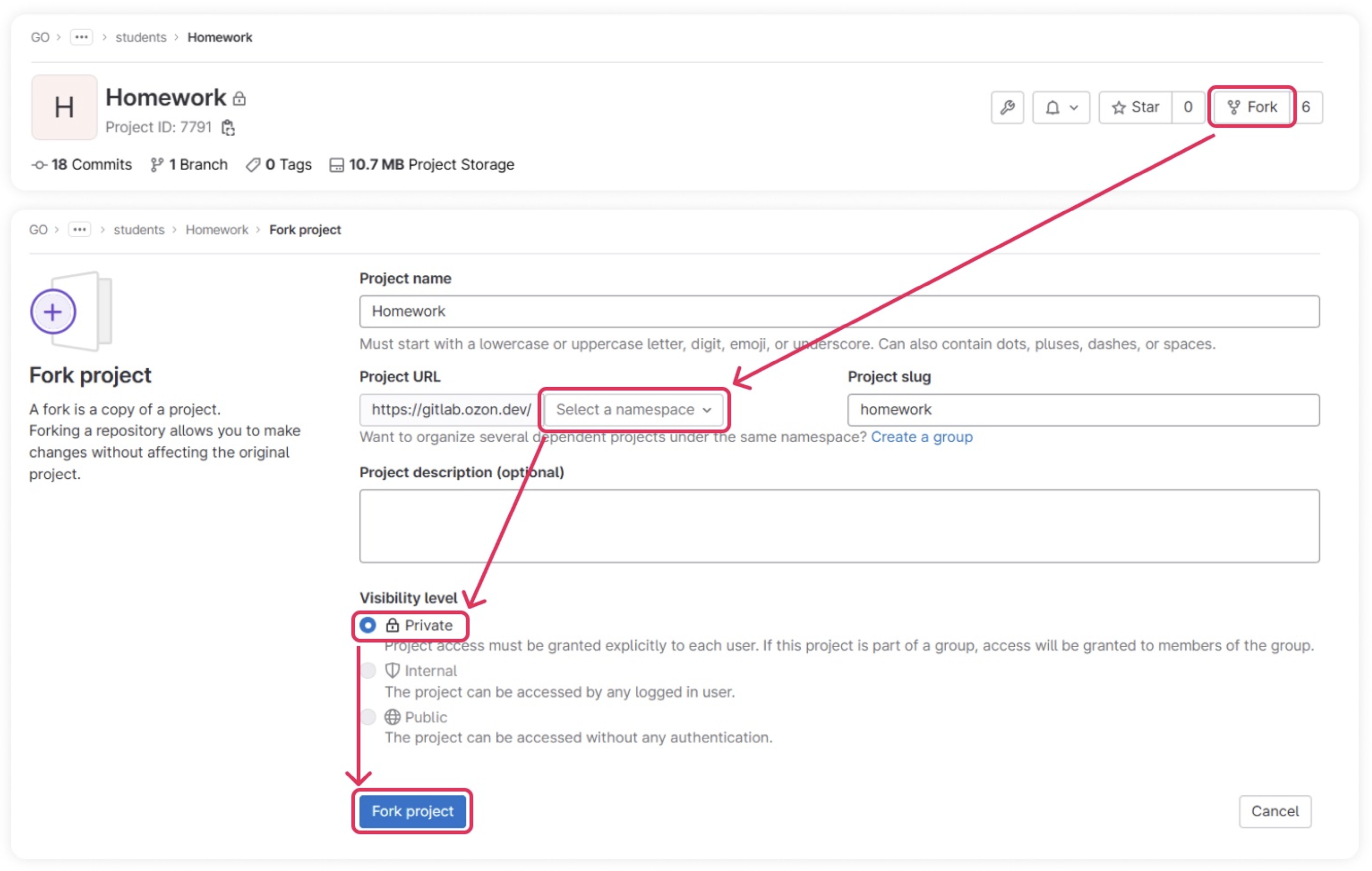 Рис. 1. Форк проекта